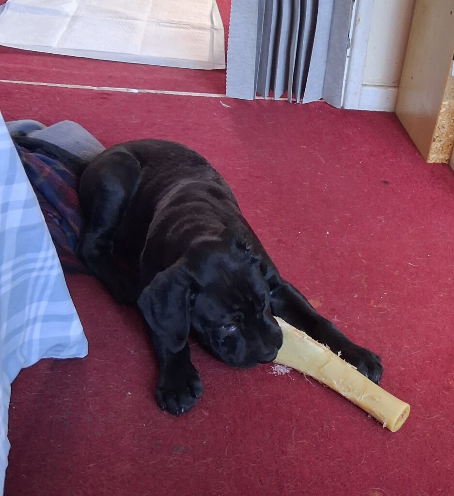 A New Recruit Joins the Testing Team... 20260628 110646